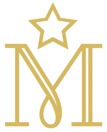 Logo - MILLENIUM TRANSPORT
